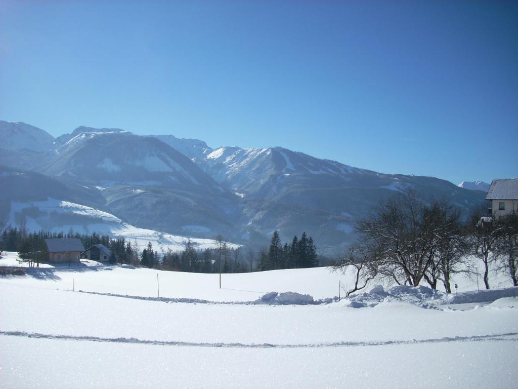 Hinterramsebn Apartamento Vorderstoder Quarto foto