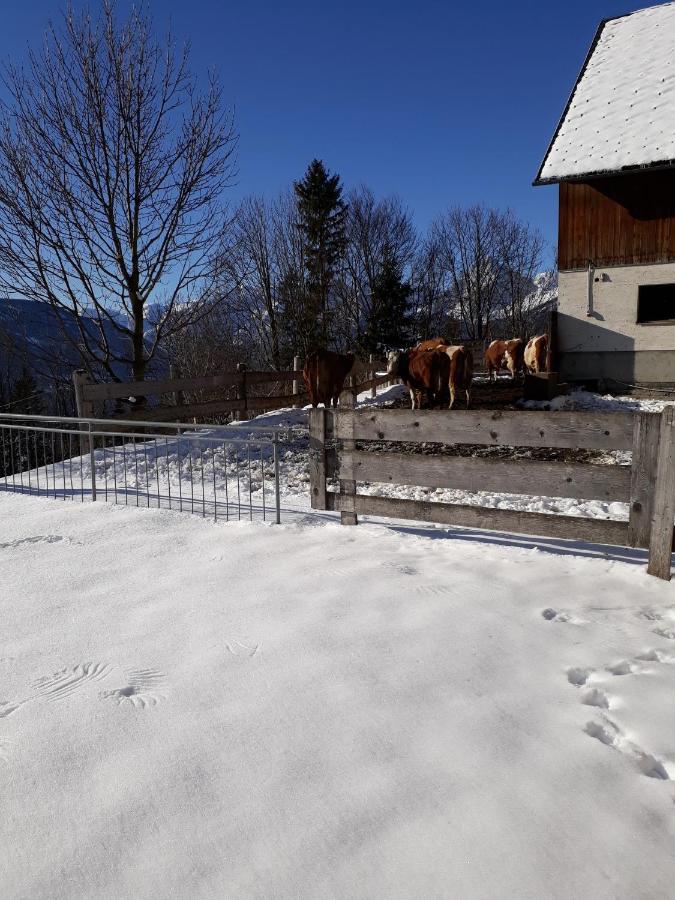 Hinterramsebn Apartamento Vorderstoder Exterior foto